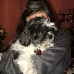 Meet your Posher, Tayla